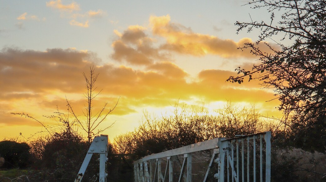 Sunsets are an easy time to take photos