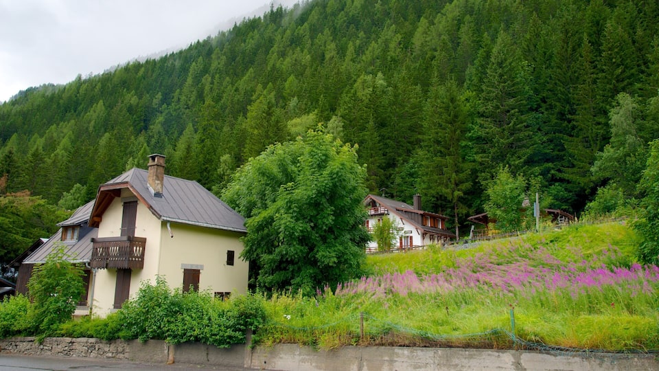 Argentiere which includes a small town or village, a house and forests
