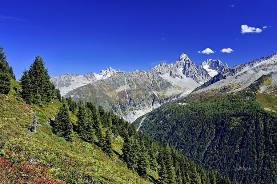 A mountainous landscape with dense forests, snow-capped peaks, and a clear blue sky.
