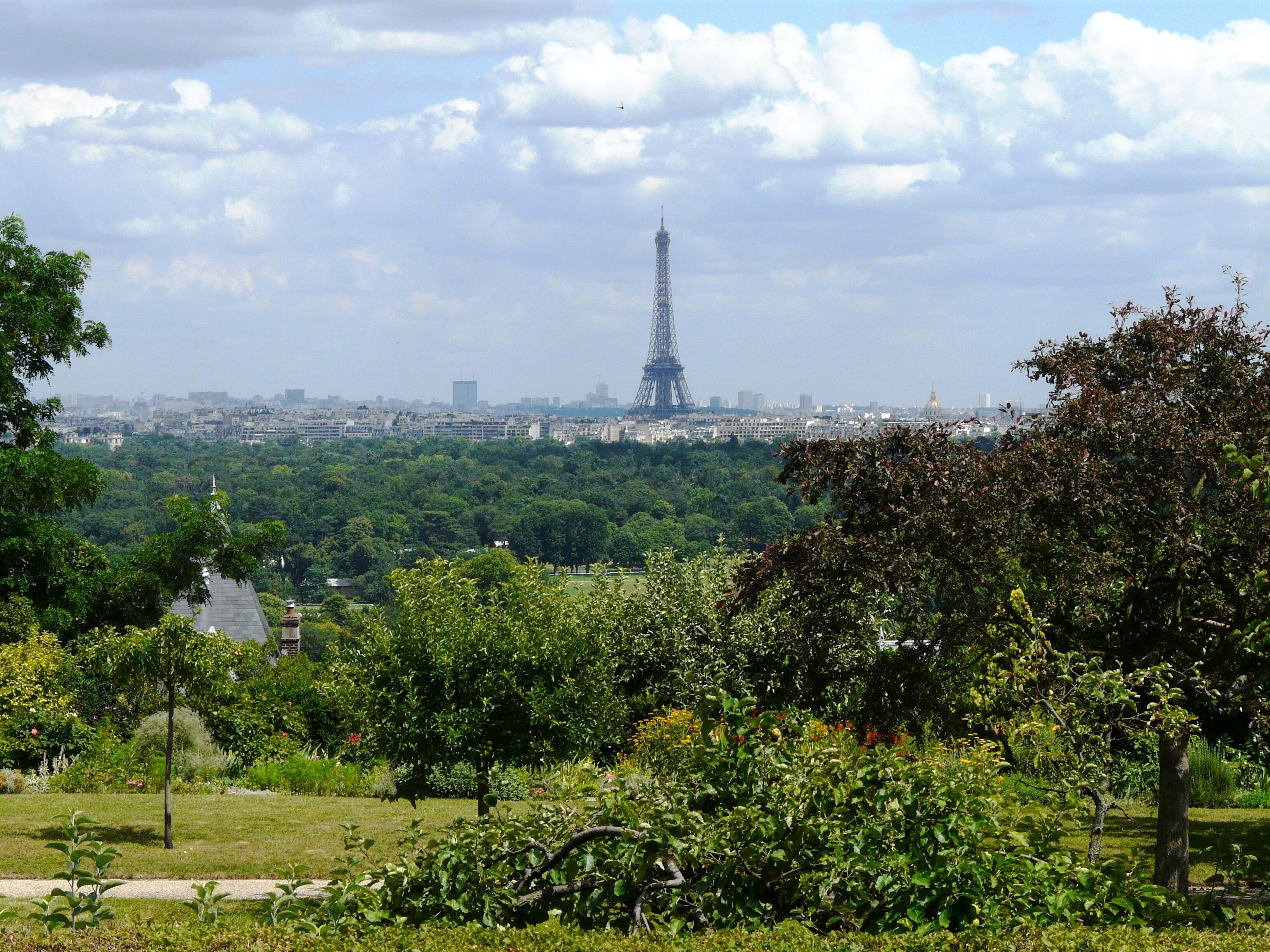 The Eiffel Tower in the background with lush greenery in the foreground.