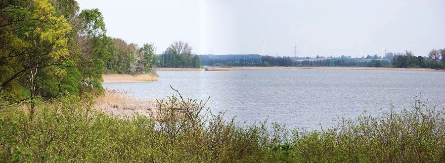 A calm lake surrounded by trees and open fields.