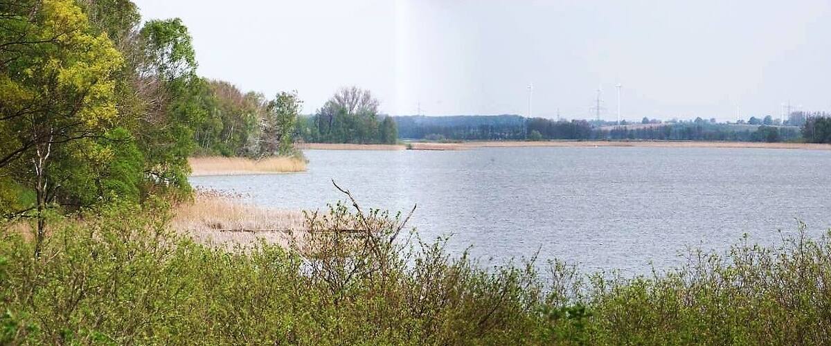 A calm lake surrounded by trees and open fields.