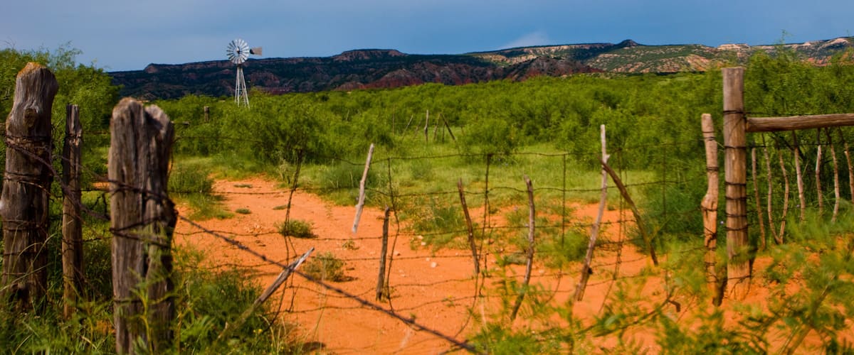 Texas Ranchland