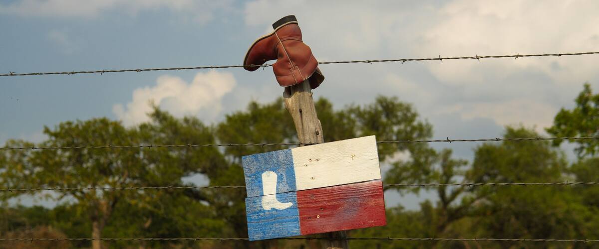 A barbed wire fence with a wooden post, a red shoe, and a flag with a white 'L' on a blue background.