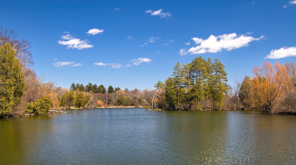 Early Spring landscape of a peaceful park lagoon beneath a blue sky and puffy white clouds in a Southeast Wisconsin, near New Berlin, Wisconsin