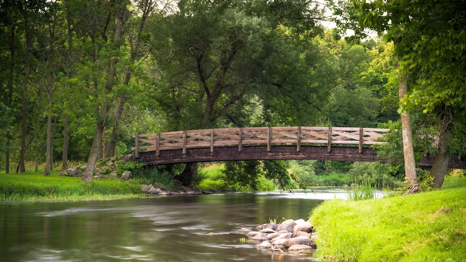 A wooden bridge over a river surrounded by lush greenery.