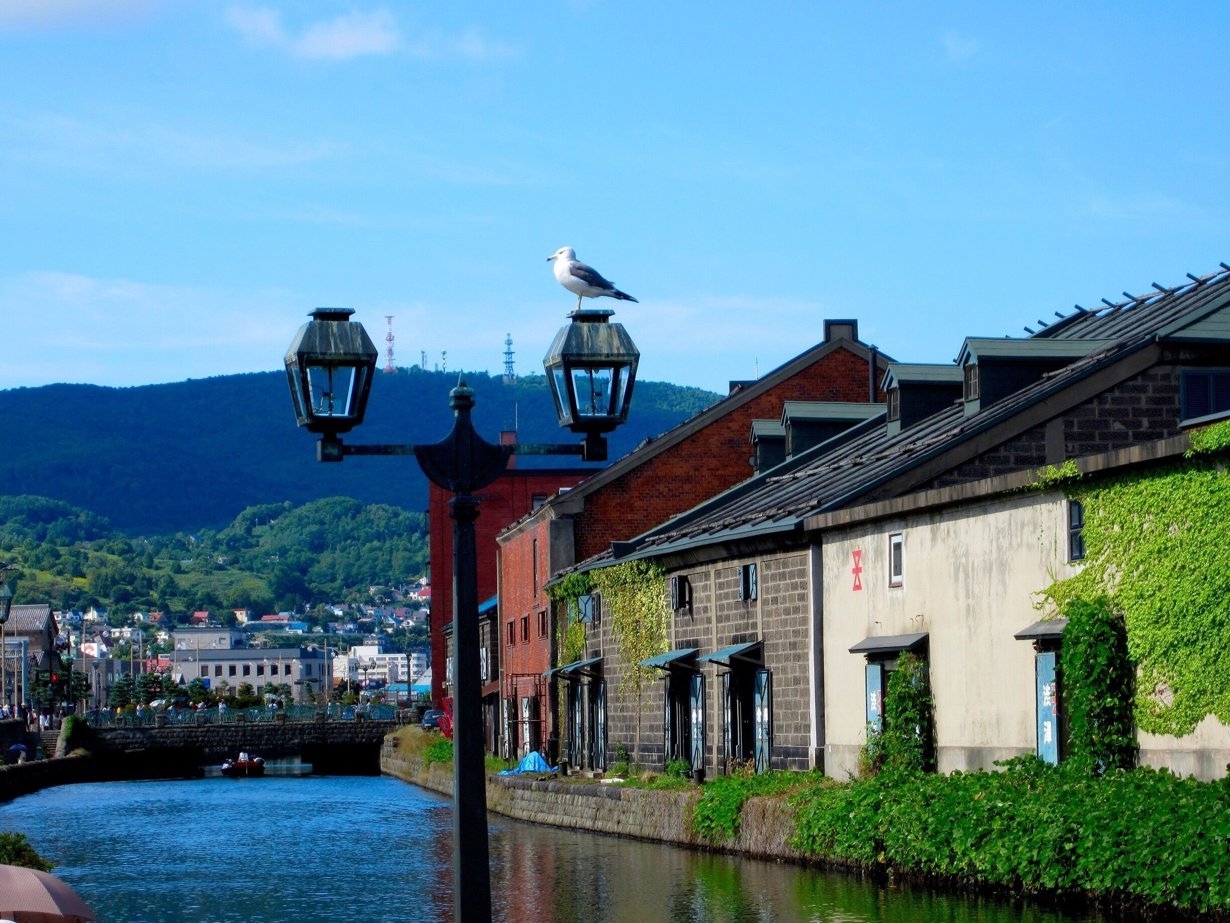 夏の小樽市