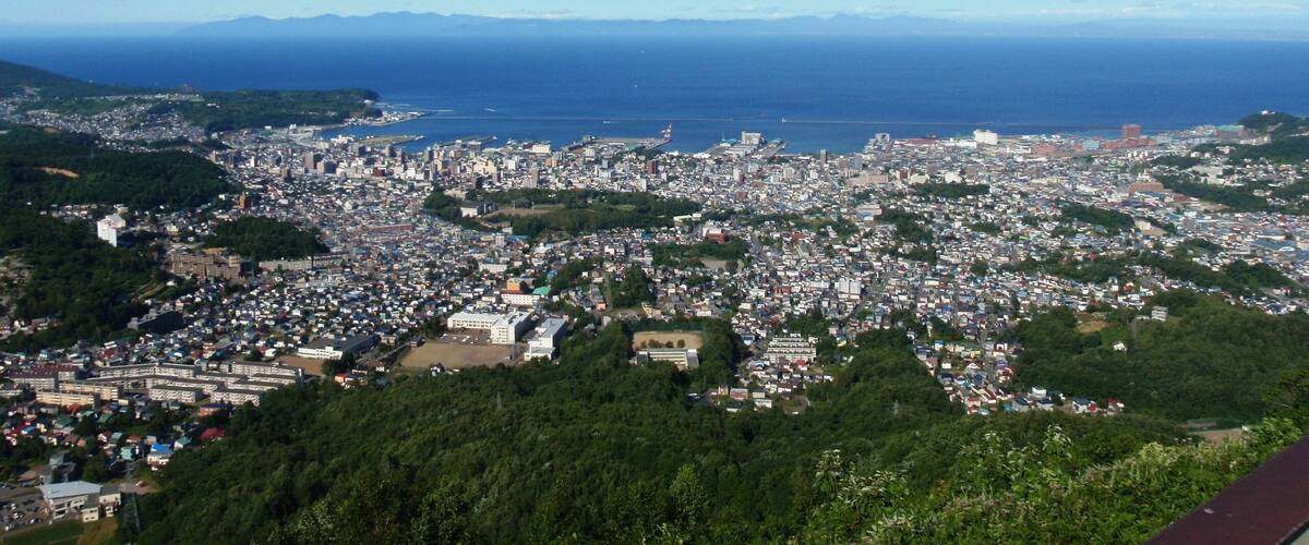 A coastal cityscape with dense urban development, a large body of water, and distant mountains.