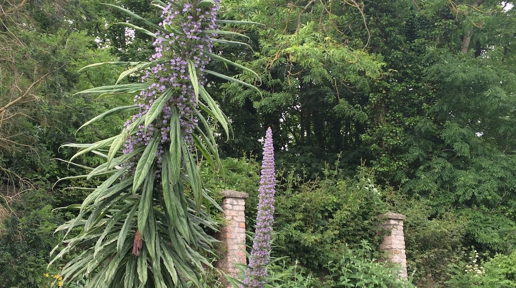 Great place to visit... Beside beautiful gardens you can unwind your day with spectacular sea views. And no matter which way you are heading home there is still a lot to see on your way back.