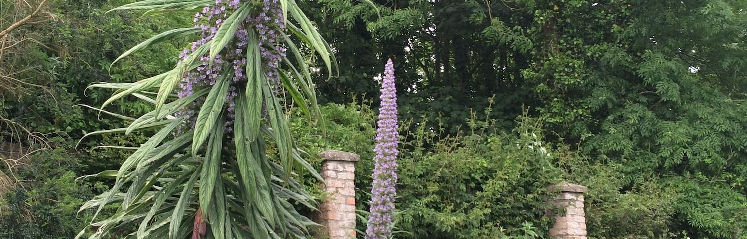 Great place to visit... Beside beautiful gardens you can unwind your day with spectacular sea views.   And no matter which way you are heading home there is still a lot to see on your way back.