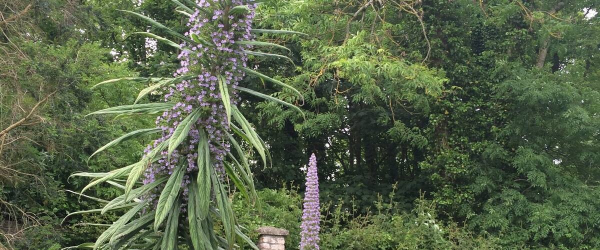 Great place to visit... Beside beautiful gardens you can unwind your day with spectacular sea views. And no matter which way you are heading home there is still a lot to see on your way back.