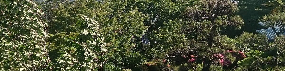 Gamagori Classic Hotel (蒲郡クラシックホテル), located at 15-1 Takeshima-cho, Gamagori, Aichi, Japan