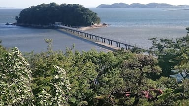 Un paysage côtier avec un long pont s’étendant au-dessus d’eaux calmes, entouré d’une végétation luxuriante et de collines lointaines.