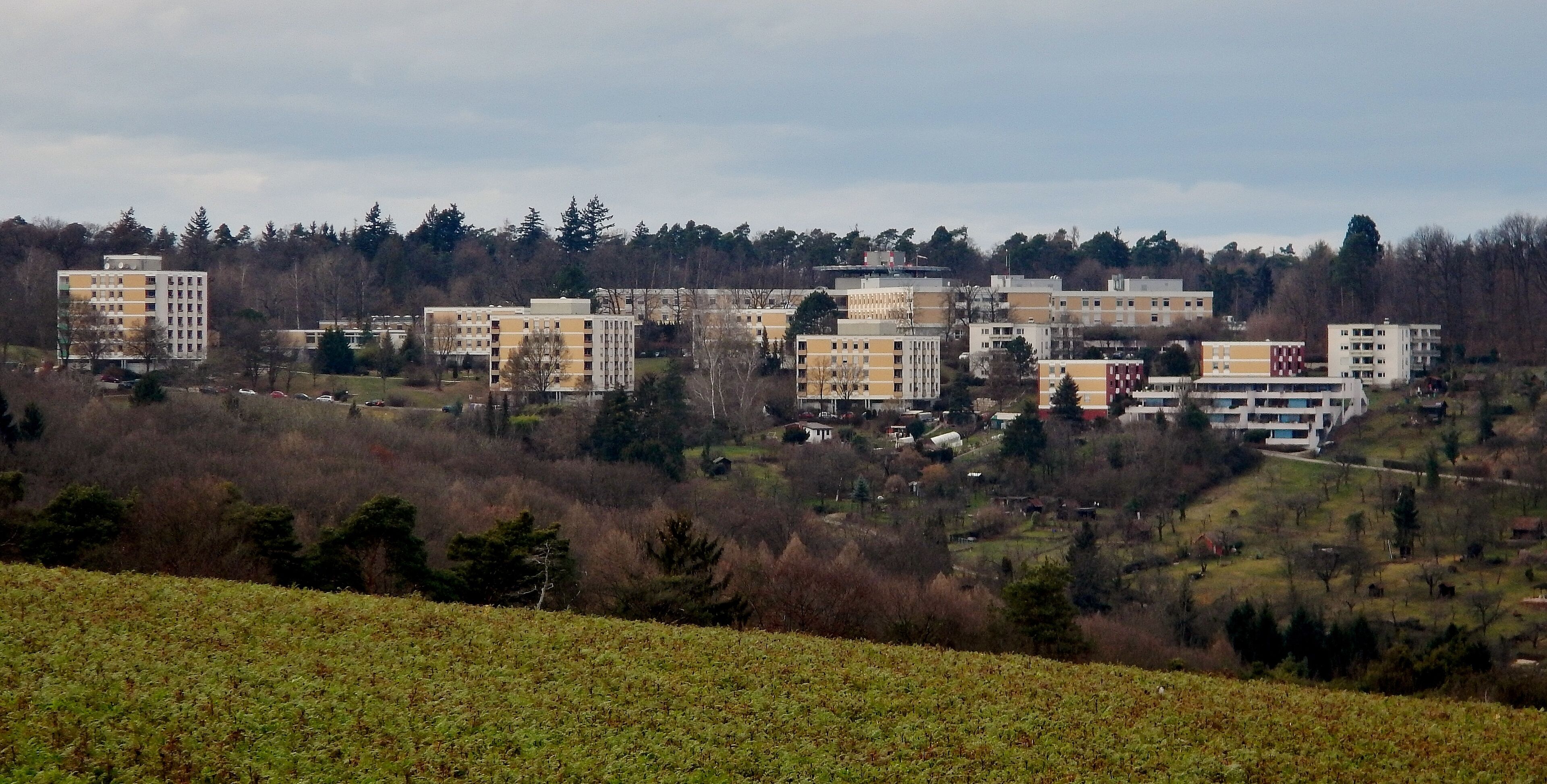 Blick zum Paracelsus-Krankenhaus in Ruit