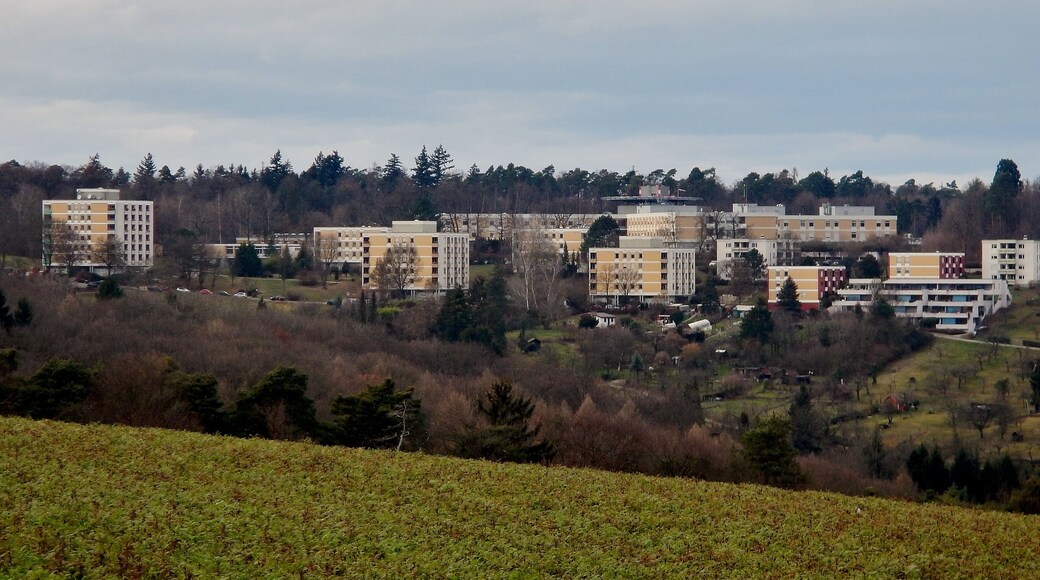 Blick zum Paracelsus-Krankenhaus in Ruit