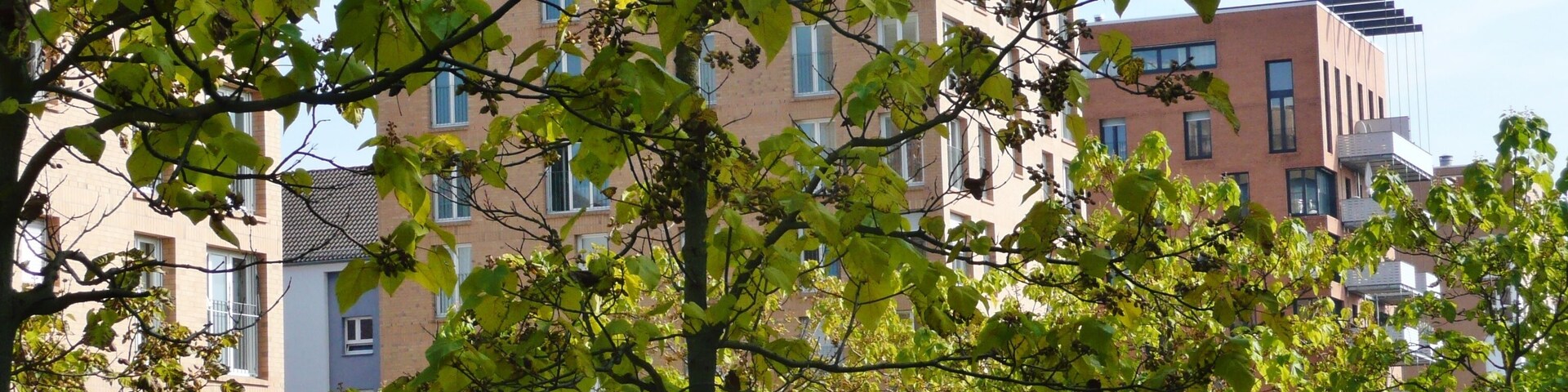 Un edificio moderno con amplias ventanas y fachada de ladrillo, rodeado de árboles y una estructura metálica.