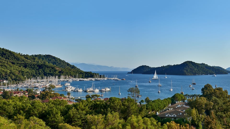 A coastal town with a marina, sailboats, and lush green hills.