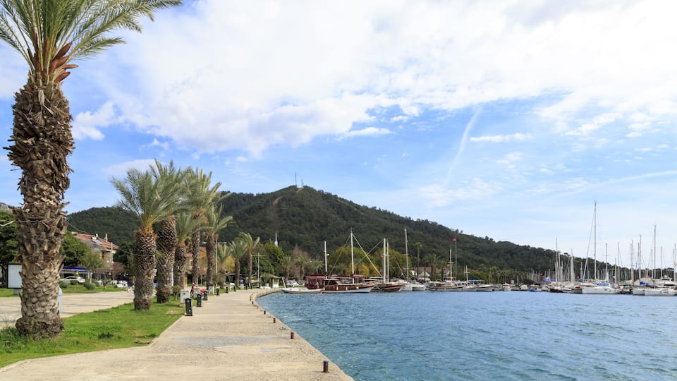 A coastal marina with boats, palm trees, and a hilly backdrop.