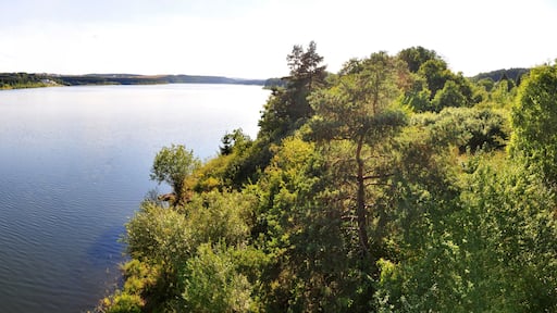 ツォイレンローダ - トリーベス