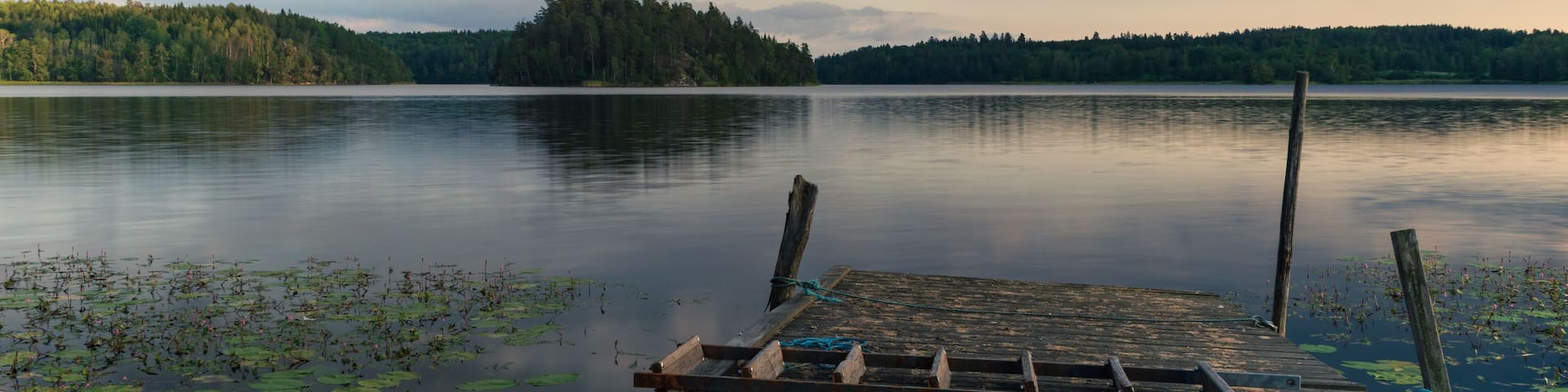 A wooden dock extending into calm water with lily pads, surrounded by a forested shoreline under a cloudy sky.