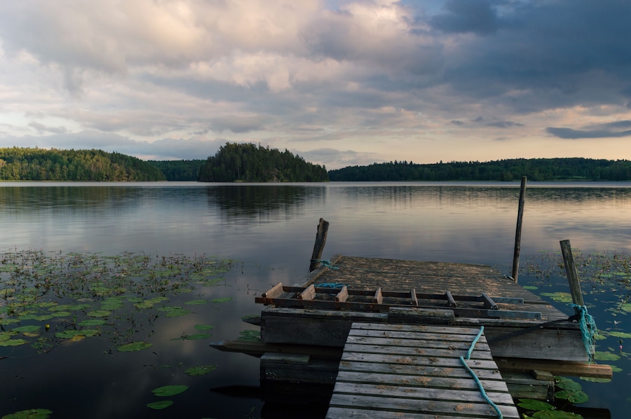 A wooden dock extending into calm water with lily pads, surrounded by a forested shoreline under a cloudy sky.