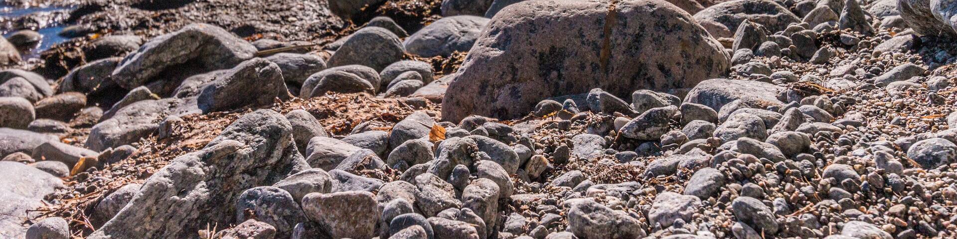 Beautiful shot of a lake on a sunny day, Nynashamn, Sweden