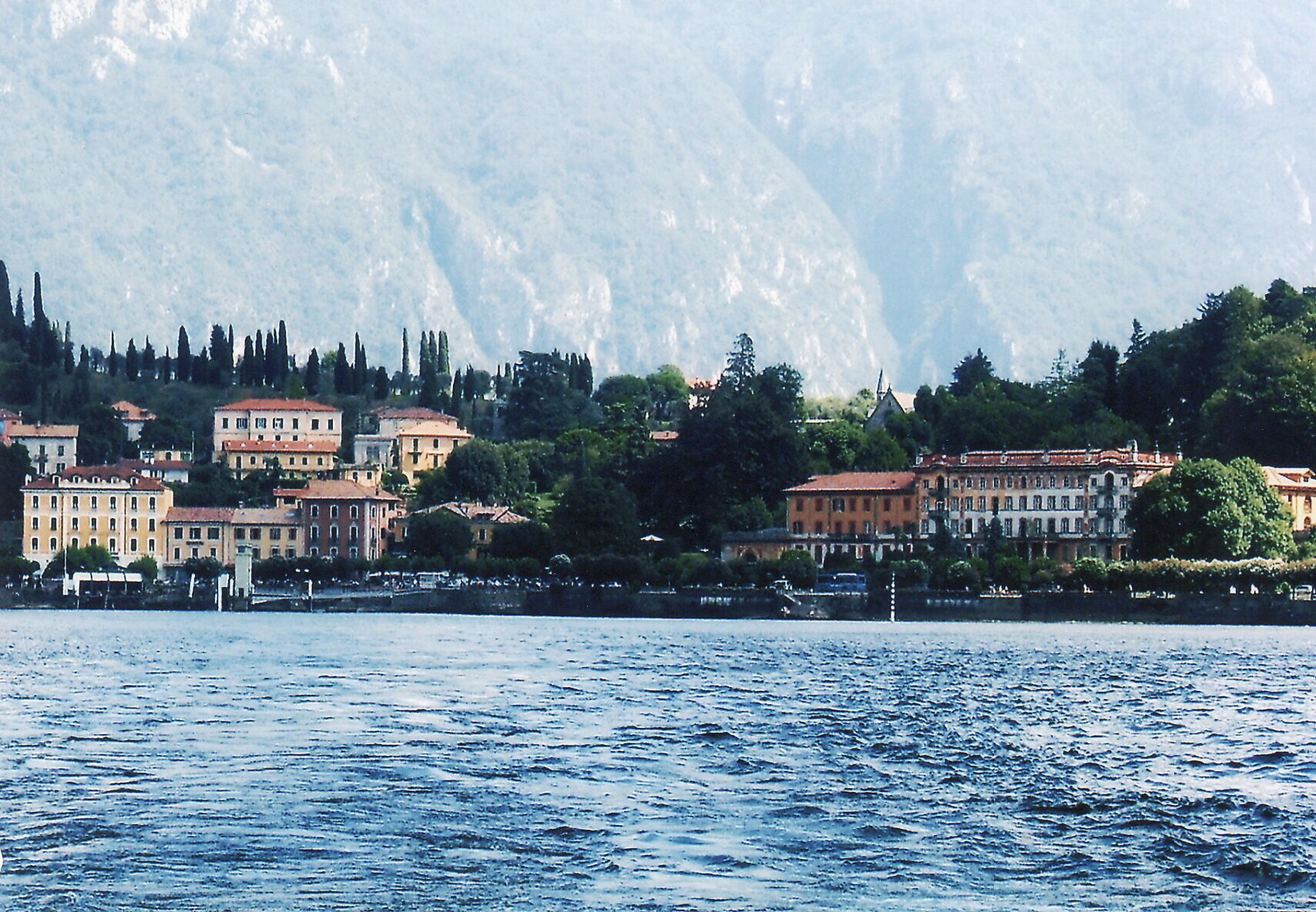 I am in love with these pointy Italian Cypress trees.