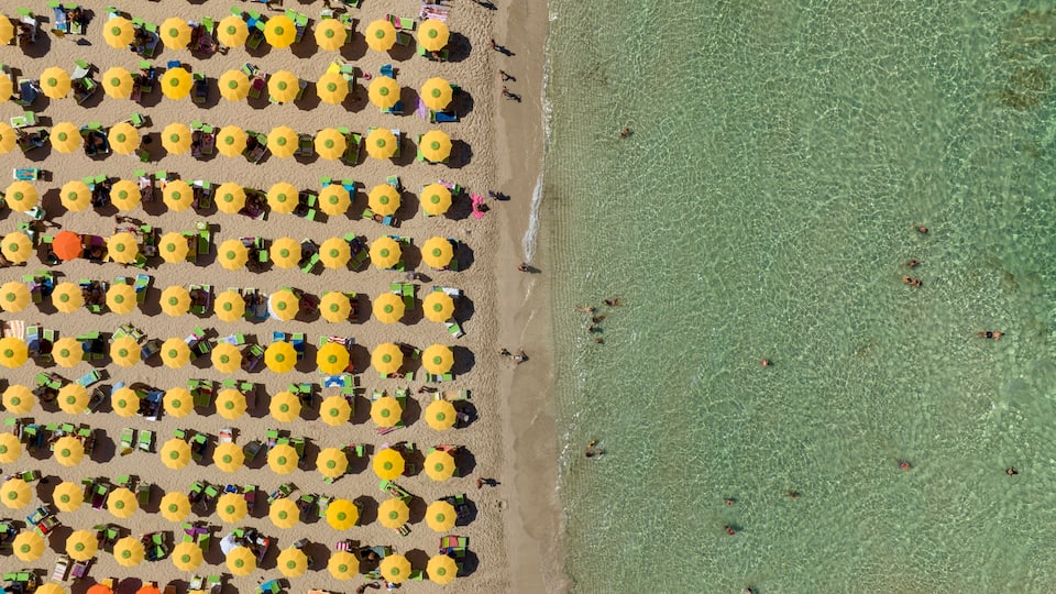 An aerial view of a beach with rows of yellow umbrellas and beach chairs.