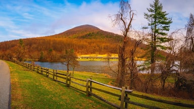 Tranquil vibrant colors of spring nature landscape of Blue Ridge Mountains and Peaks of Otter Lake on the Blue Ridge Parkway in Bedford, Virginia, USA