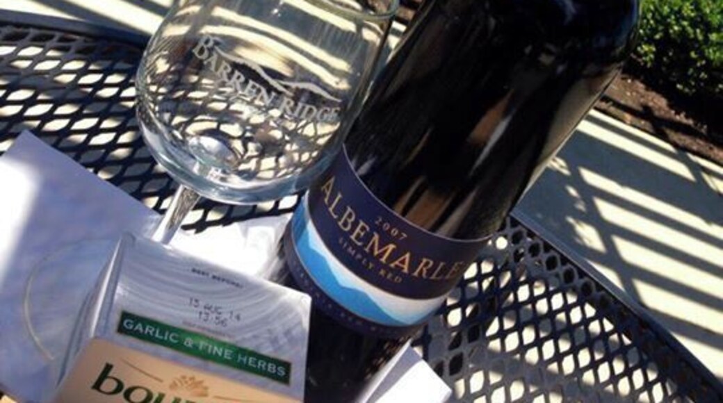 Patio view of the vineyard, great place to relax with a bottle of wine and snacks