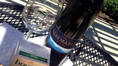 Patio view of the vineyard, great place to relax with a bottle of wine and snacks