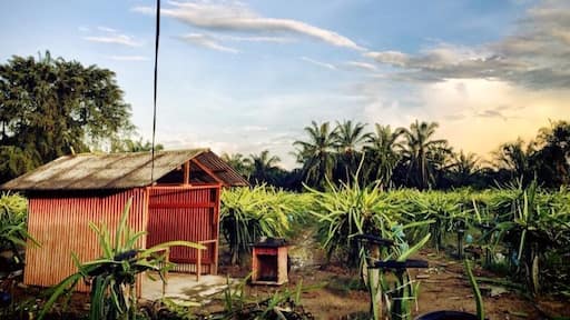 If you into dragon fruit this place has it all. From fresh fruits to enzymes. Go around sunset and you'll be more rewarding
