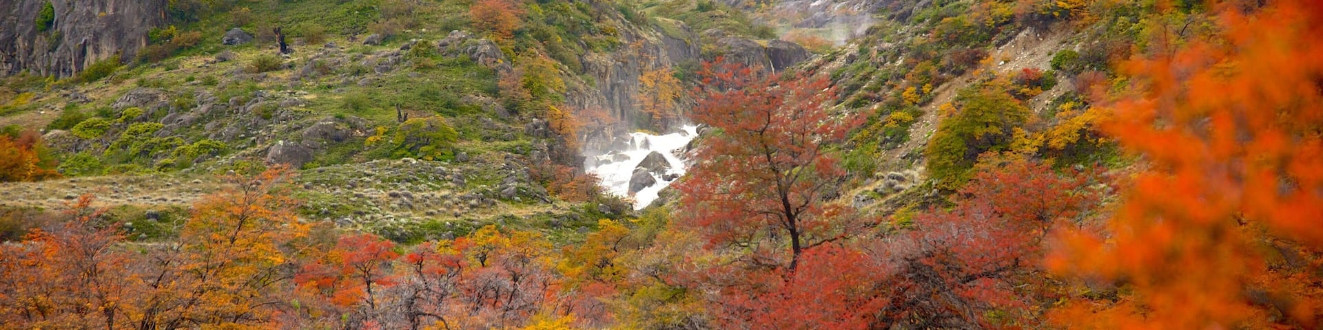 エル カラファテ フィーチャー 秋色 と 静かな風景