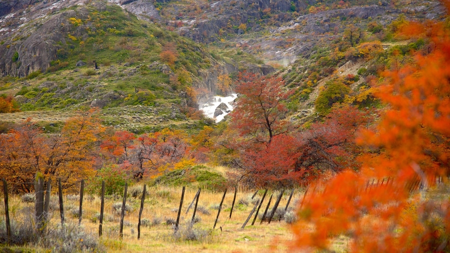 El Calafate featuring tranquil scenes and autumn leaves