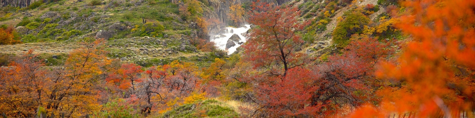 El Calafate caracterizando cenas tranquilas e cores do outono