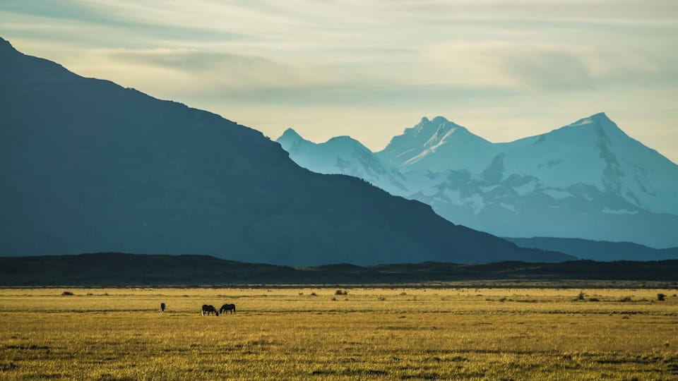 Golden hour of light.. on our driveway back from Los Glaciers NP 😌. I could manage this capture when only one tick of battery charge was left in my cam and the bus was moving as fast as it could to get us back to the town before its dark.The pictures, many of them may not be perfect captures but most randomly clicked. We didn't have proper gears for some great wildlife captures and felt at a loss on many occasions, however what eyes beheld at every step through this terrain is the best we can hold on to until we return to be lost once again. 😍 Some around 3k random pictures have piled up in this trip! 😂#losglaciaresnationalpark #goldenhourlight #amateurphotography #travelforthesoul #travelandliving #traveladdicts #wanderlustcouple
#wildlife #naturephotography #naturelovers #nikond5300