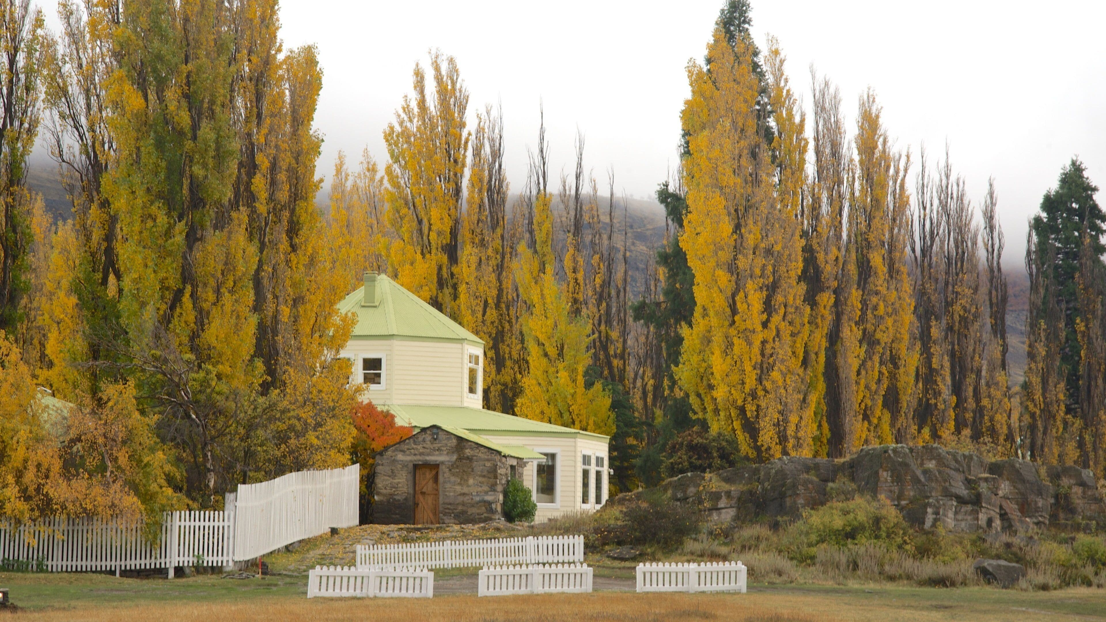 El Calafate showing forest scenes, autumn leaves and a house