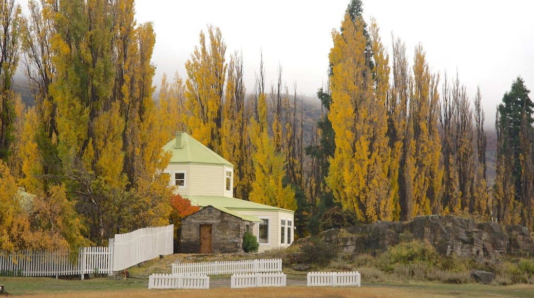 El Calafate showing forest scenes, autumn leaves and a house