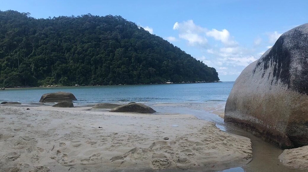 Chill on the beach and keep a eye out for the monkeys. Can only get here by boat.
#Trovember