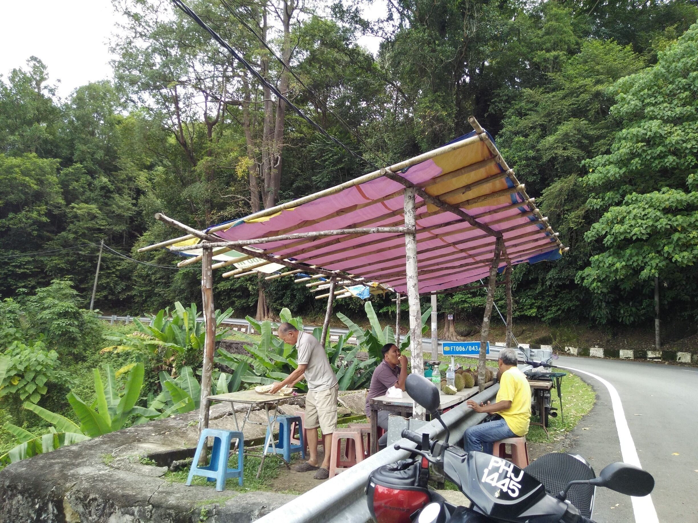 The Malaysians love durian till the extend that one would drive about 350km north to taste the fruit fresh from farm during durian season.

Often, you'll see people linger around these little stalls surrounded by forest, enjoying a durian feast while occasionally being visited by monkeys. 

Did you know that durian planters often name their trees and care for them like family heirloom?

#lifeatexpedia #my2016