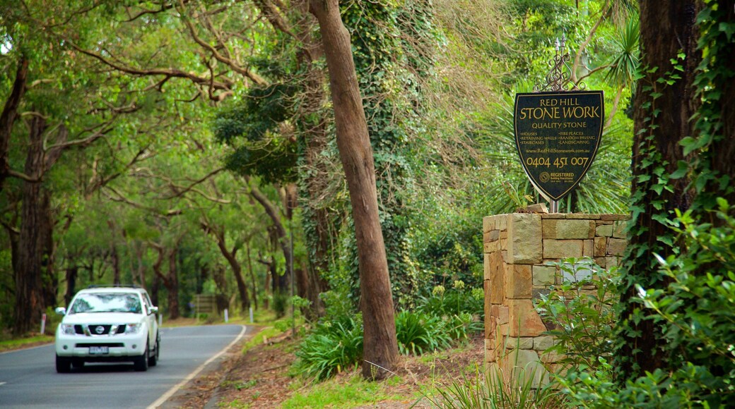Red Hill South which includes vehicle touring and forests