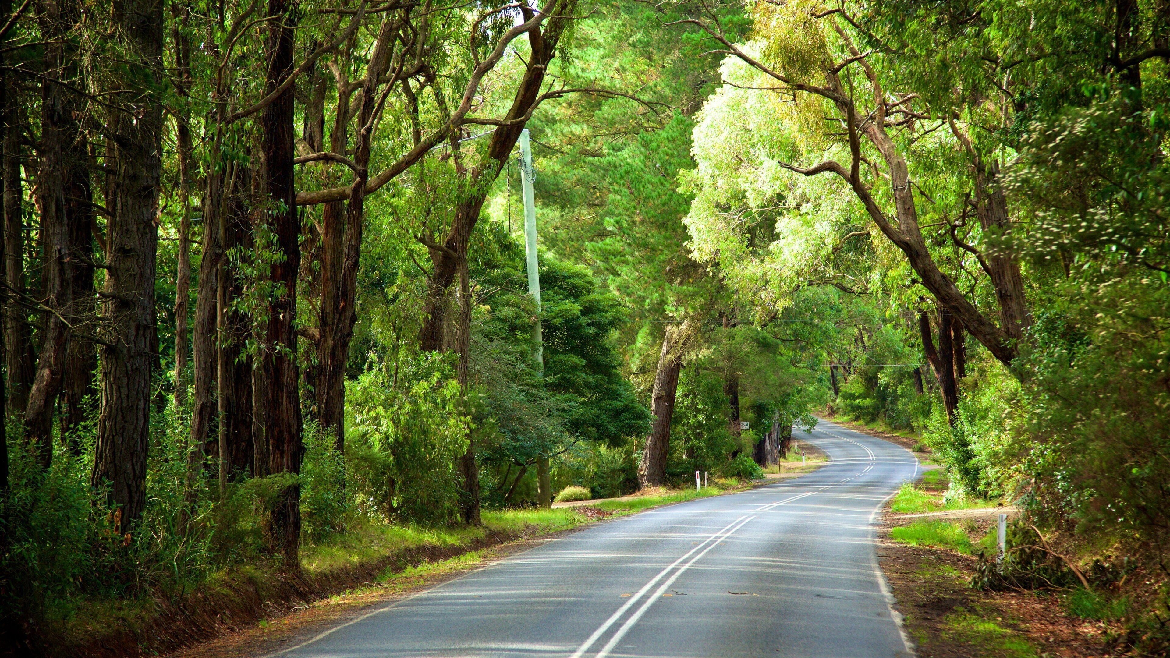 Red Hill South which includes forests
