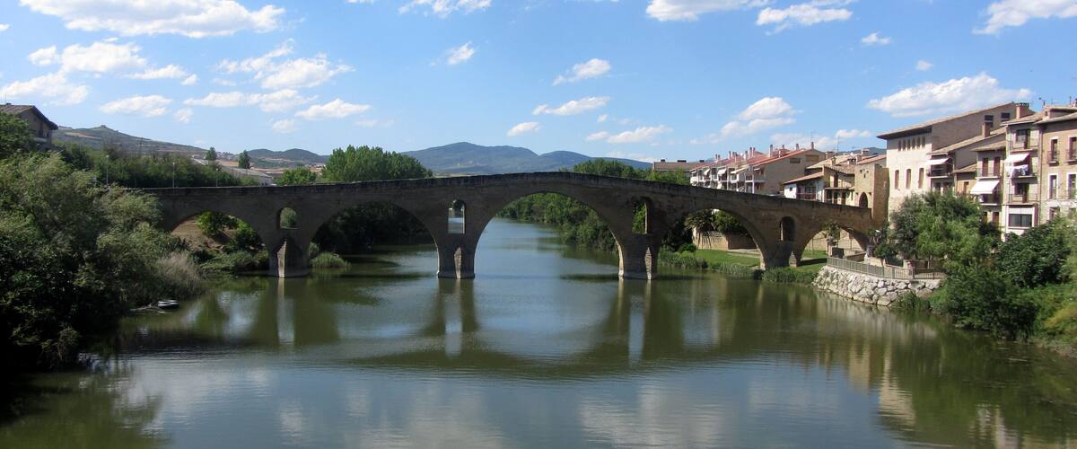 A stone bridge over a river with a town in the background.