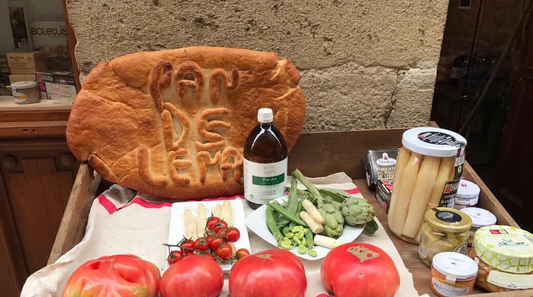 Good for Trekkers
‘On the Hoof’
Camino Santiago