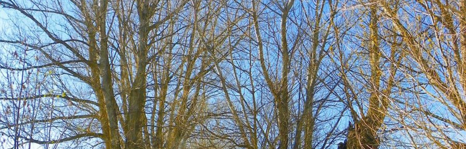 Carretera entre prop de Talltorta