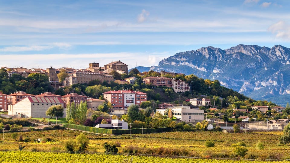 A town with buildings on a hillside, vineyards, and mountains in the background.