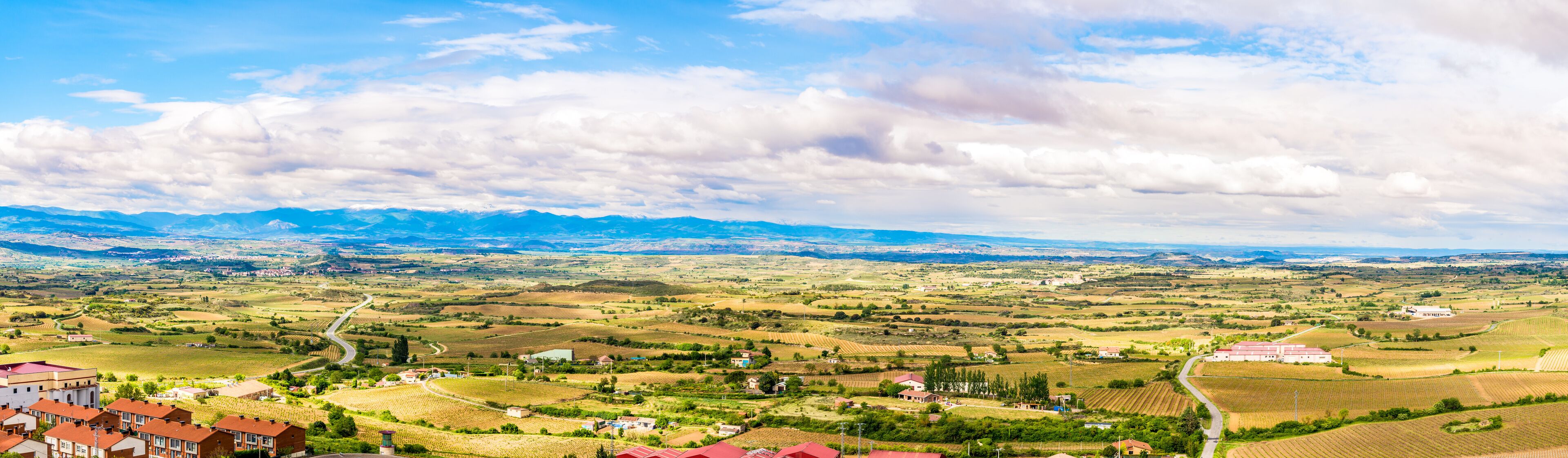 Panoramic view at the surroundings of the town Laguardia in Spain