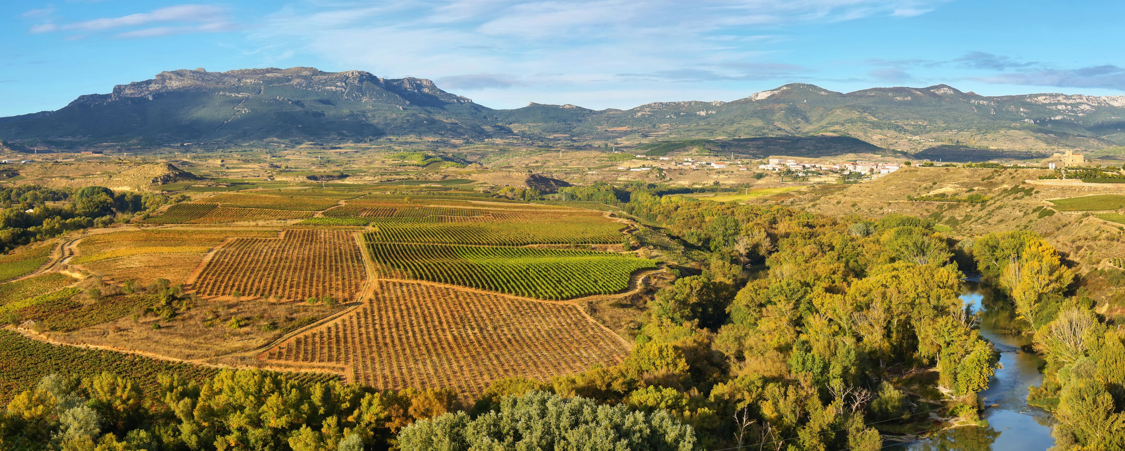 A vineyard landscape with a river and mountains in the background.