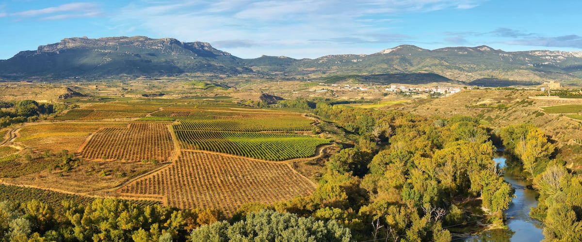 A vineyard landscape with a river and mountains in the background.