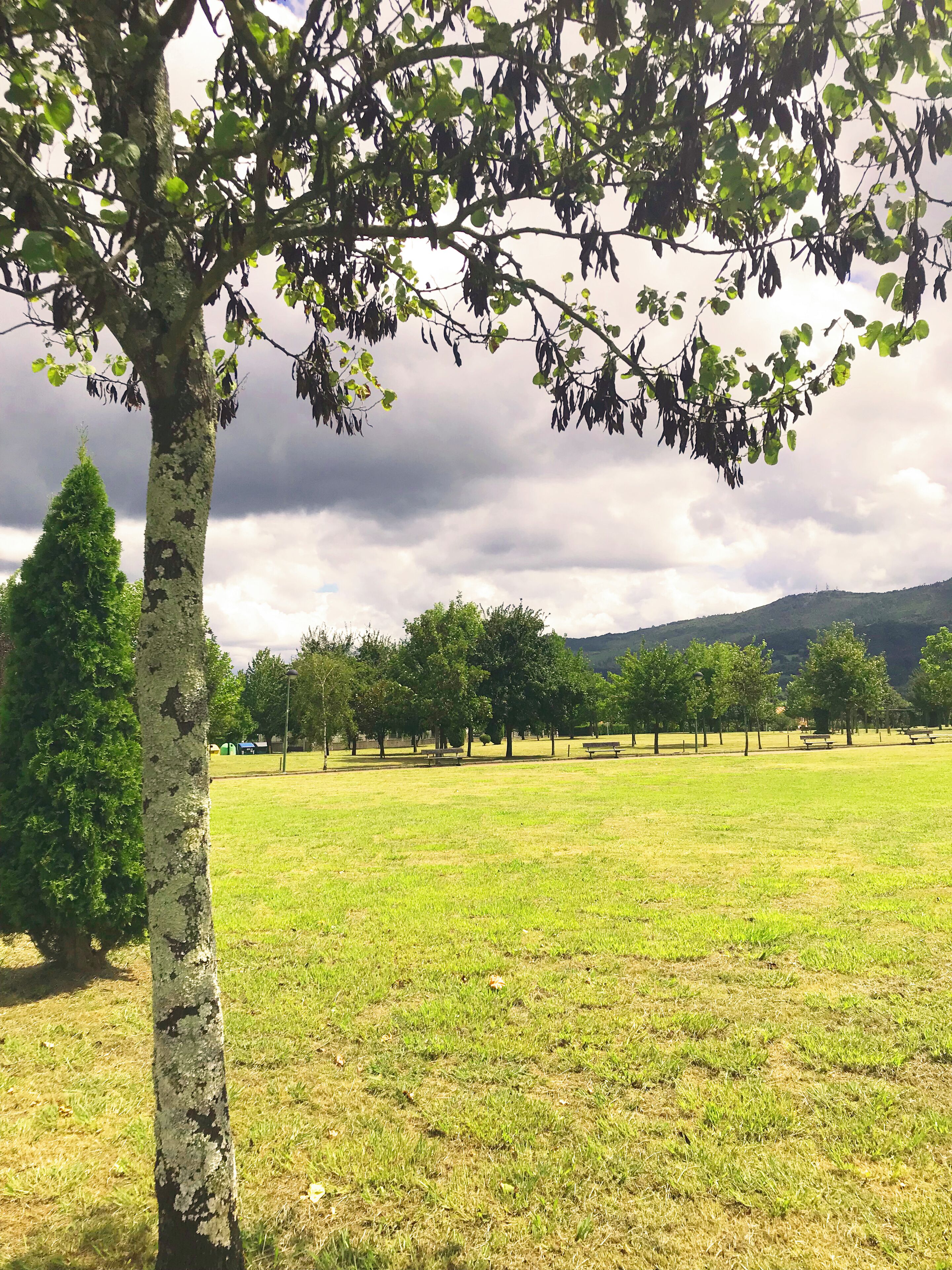 Derio is a small town in the Greater Bilbao area (and right next to the Bilbao airport). It’s a 10-minute drive to Bilbao. 